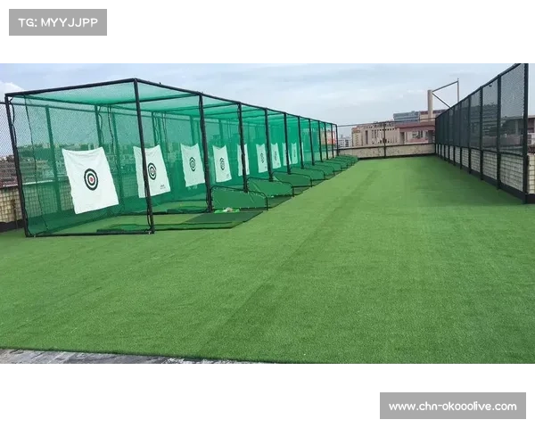 东莞再生棒球场项目启动 环保打击笼落地上海静安区域推动绿色体育发展